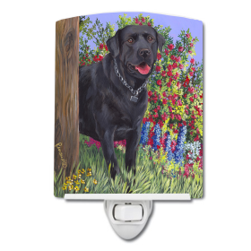 B Styles Ceramic Night Light (Color: Black Labrador Retriever, size: 4 x 6)