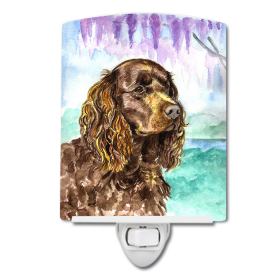 A Styles Ceramic Night Light (Color: American Water Spaniel, size: 4 x 6)