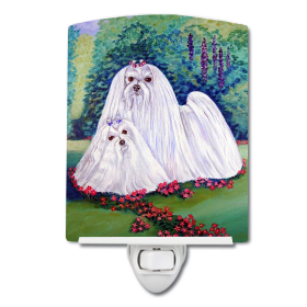 M Styles Ceramic Night Light (Color: Maltese, size: 4 x 6)